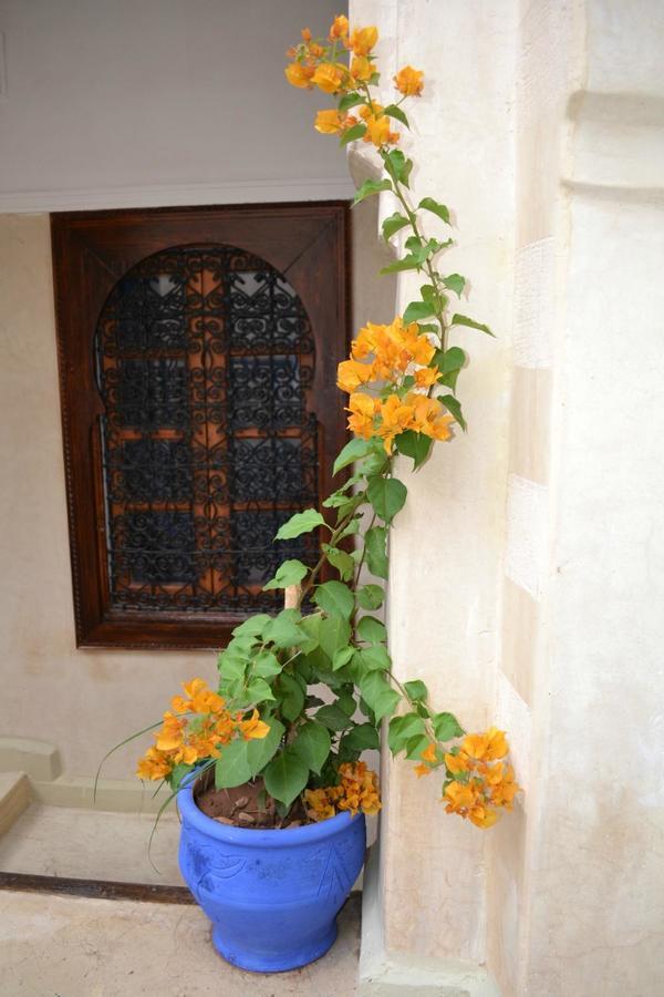 Riad Riva Marrakesh Exterior foto